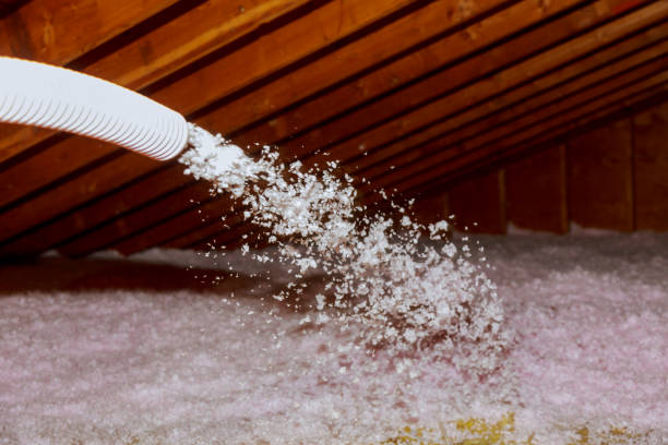 Best Insulation Maintenance and Repair in Durant, MS