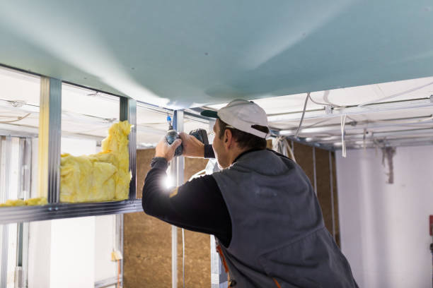 Best Specialty Insulation in Durant, MS