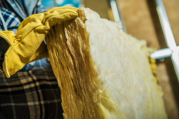 Best Commercial Insulation in Durant, MS